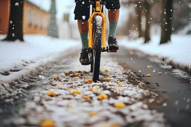 How We Keep Bikes Safe During Winter Storage